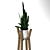 Modern Sansevieria Plant: 3D Model for 3Ds Max 3D model small image 8