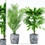 Rhapis Palm with Concrete Pot - Plants 183 3D model small image 1