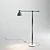 Stylish Steel Floor Lamp 3D model small image 3