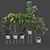 Contemporary Ficus Set with White Wire Base 3D model small image 1