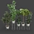 Contemporary Ficus Set with White Wire Base 3D model small image 2