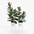 Contemporary Ficus Set with White Wire Base 3D model small image 3