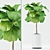 Ficus Lyrata with Ceramic Pot 3D model small image 1