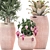 Exotic Plant Collection in Pink Baskets 3D model small image 2