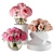 Pink Rose Bouquet in Glass Spheres 3D model small image 1