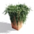 1.1m Rosemary Pot 3D model small image 2