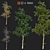 Versatile Four Seasons Trees 3D model small image 1