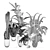 Tropical Houseplant Collection 3D model small image 4