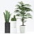 188 Plants: Sansevieria, Cactus, Rhapis Palm 3D model small image 2
