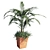 Tropical Elegance: Kentia Palm 3D model small image 1