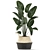 Exotic Indoor Plant Collection 3D model small image 2