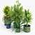 Maya Blue & Green Ceramic Planters 3D model small image 3