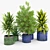 Maya Blue & Green Ceramic Planters 3D model small image 4