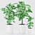 Rubber Plants in Ceramic Pot 3D model small image 2