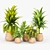 Minimalist Tula Planter Set 3D model small image 1