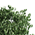 Lush Green Plant 58C 3D model small image 2