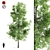 Premium Sorrel Tree: High Quality & Tall 3D model small image 1