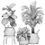 Tropical Plant Collection: Ficus, Howea, Kentia & More 3D model small image 5