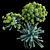 Euphorbia Myrsinites: Dazzling Vertex Colors 3D model small image 1