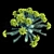 Euphorbia Myrsinites: Dazzling Vertex Colors 3D model small image 3