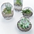 Botanical Bliss: 5 Glass Ball Terrarium Set 3D model small image 5