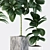 Natural Rubber Raphis Palm Plants 3D model small image 3