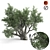 820 CM Olive Tree 3D model small image 1