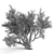 820 CM Olive Tree 3D model small image 2