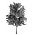 Premium Linden Tree 3D model small image 5