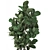 Exotic Plant Collection: Tropical Ficus Lyrata in Classic Vases 3D model small image 3