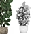 Exotic Plant Collection: Tropical Ficus Lyrata in Classic Vases 3D model small image 5