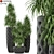 Club 274: Fleurami Plant Collection 3D model small image 1