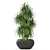 Club 274: Fleurami Plant Collection 3D model small image 2