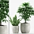 Tropical Greenery Pot Set 3D model small image 1