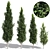 Carpinus Fastigiata: Tall, Compact, and Elegant 3D model small image 1