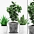 Tropical Pot Plants Set 3D model small image 1