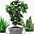 Tropical Pot Plants Set 3D model small image 3