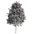 Premium Oak Tree: Majestic and Timeless 3D model small image 3