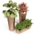 Pixel Plants Collection: Elegant and Modern 3D model small image 2