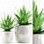 Agave angustifolia w/ Ceramic Pot 3D model small image 1