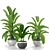 Tropical Beauty: Banana Palm 3D model small image 1