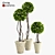 Title: Artificial Boxwood Potted Plant 3D model small image 1