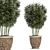 Exotic Bamboo Plants for Outdoor and Indoor Décor 3D model small image 4