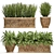 Exotic Plant Collection: Classic Vases for Outdoor Décor 3D model small image 1