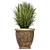 Exotic Plant Collection: Classic Vases for Outdoor Décor 3D model small image 3