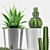 Desert Oasis: Agave & Cactus 3D model small image 3