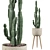 Euphorbia Candelabrum: Unique Indoor Cactus 3D model small image 1