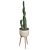 Euphorbia Candelabrum: Unique Indoor Cactus 3D model small image 3