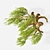 Syclamore Bonsai: Wind-Tossed Beauty 3D model small image 3