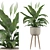 Exquisite Peace Lily - Perfectly Crafted 3D model small image 1